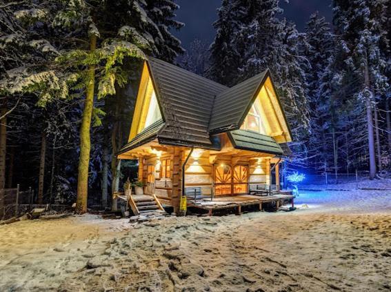 Chata Pod Nosalem - Domek Z Jacuzzi Z Bala W Zakopanym Zakopane Exterior photo